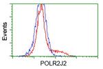POLR2J2 Antibody in Flow Cytometry (Flow)