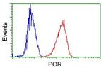 POR Antibody in Flow Cytometry (Flow)