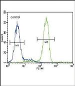 PPAR gamma Antibody in Flow Cytometry (Flow)