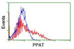 PPAT Antibody in Flow Cytometry (Flow)