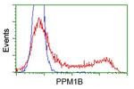 PPM1B Antibody in Flow Cytometry (Flow)