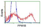 PPM1B Antibody in Flow Cytometry (Flow)