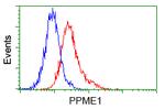 PPME1 Antibody in Flow Cytometry (Flow)