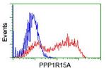 PPP1R15A Antibody in Flow Cytometry (Flow)