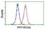 PPP1R15A Antibody in Flow Cytometry (Flow)