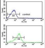PPP3R2 Antibody in Flow Cytometry (Flow)