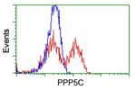 PPP5C Antibody in Flow Cytometry (Flow)
