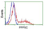 PPP5C Antibody in Flow Cytometry (Flow)