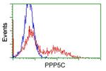 PPP5C Antibody in Flow Cytometry (Flow)