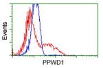 PPWD1 Antibody in Flow Cytometry (Flow)
