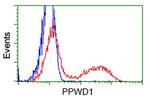PPWD1 Antibody in Flow Cytometry (Flow)