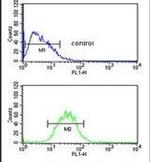 PR38A Antibody in Flow Cytometry (Flow)