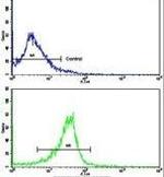 PRELP Antibody in Flow Cytometry (Flow)