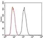 PKA gamma Antibody in Flow Cytometry (Flow)