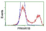 PRKAR1B Antibody in Flow Cytometry (Flow)