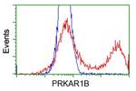 PRKAR1B Antibody in Flow Cytometry (Flow)