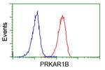 PRKAR1B Antibody in Flow Cytometry (Flow)