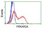 PRKAR2A Antibody in Flow Cytometry (Flow)