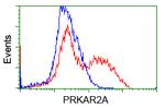 PRKAR2A Antibody in Flow Cytometry (Flow)