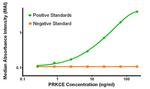 PRKCE Antibody in ELISA (ELISA)