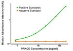 PRKCE Antibody in ELISA (ELISA)