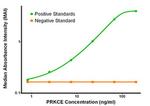 PRKCE Antibody in ELISA (ELISA)