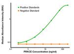 PRKCE Antibody in ELISA (ELISA)