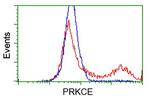 PRKCE Antibody in Flow Cytometry (Flow)