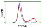 PRKCE Antibody in Flow Cytometry (Flow)