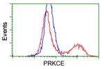 PRKCE Antibody in Flow Cytometry (Flow)