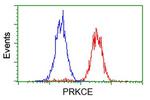 PRKCE Antibody in Flow Cytometry (Flow)