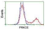 PRKCE Antibody in Flow Cytometry (Flow)