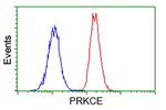 PRKCE Antibody in Flow Cytometry (Flow)