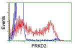 PRKD2 Antibody in Flow Cytometry (Flow)