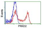 PRKD2 Antibody in Flow Cytometry (Flow)