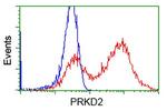 PRKD2 Antibody in Flow Cytometry (Flow)