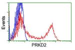PRKD2 Antibody in Flow Cytometry (Flow)