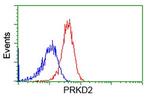 PRKD2 Antibody in Flow Cytometry (Flow)