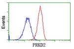 PRKD2 Antibody in Flow Cytometry (Flow)