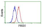 PRKD2 Antibody in Flow Cytometry (Flow)