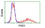 PRKY Antibody in Flow Cytometry (Flow)