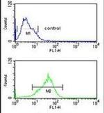 PRP19 Antibody in Flow Cytometry (Flow)