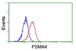 PSMA4 Antibody in Flow Cytometry (Flow)