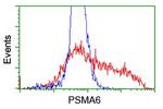 PSMA6 Antibody in Flow Cytometry (Flow)