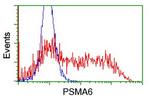 PSMA6 Antibody in Flow Cytometry (Flow)