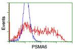 PSMA6 Antibody in Flow Cytometry (Flow)