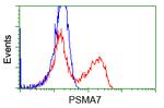 PSMA7 Antibody in Flow Cytometry (Flow)