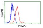 PSMA7 Antibody in Flow Cytometry (Flow)