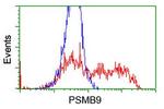 PSMB9 Antibody in Flow Cytometry (Flow)