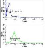PSME2 Antibody in Flow Cytometry (Flow)